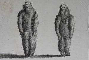 Augustin Calmet. Mandragores artificielles, nues, et vestues. Engraving. 1722.