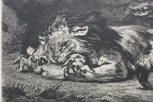 Load image into Gallery viewer, Delacroix, after. Lion Devouring a Rabbit. Etching by Gustave Greux. C. 1870.

