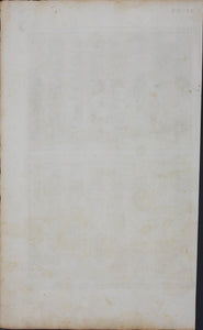 Bernard Picart. Celebration of the Great Festival of the Sun. Engraving. 1723.