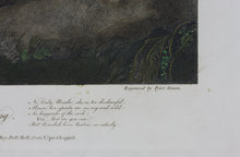 Load image into Gallery viewer, Matthew William Peters, after. Shakespeare. Much Ado About Nothing. Act III. Sc. I. Engraved by Peter Simon. Hand-colored. 1792
