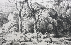 Ferdinand Kobell. Landscape with sheep. Etching. 1793-1825 (c.) (c.)