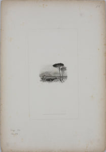 Joseph Mallord William Turner, after. Perugia. Engraved by Edward Goodall. 1830.