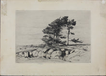 Load image into Gallery viewer, Walter John James, 3rd Baron Northbourne. Landscape. Etching. 1907.
