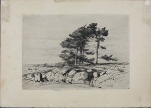Walter John James, 3rd Baron Northbourne. Landscape. Etching. 1907.