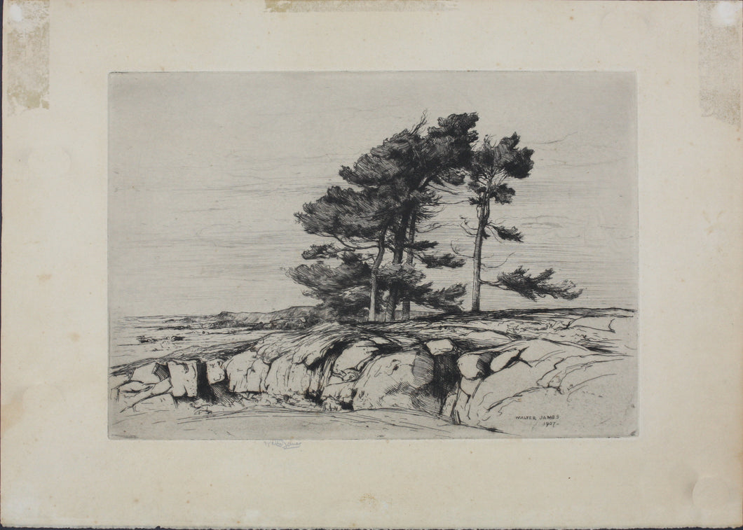 Walter John James, 3rd Baron Northbourne. Landscape. Etching. 1907.