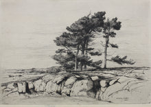 Load image into Gallery viewer, Walter John James, 3rd Baron Northbourne. Landscape. Etching. 1907.

