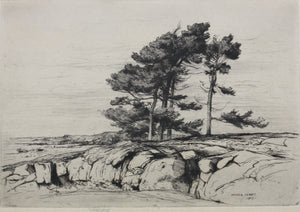 Walter John James, 3rd Baron Northbourne. Landscape. Etching. 1907.