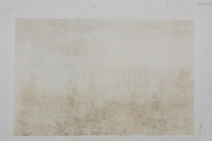 Johannes van den Aveelen. Kaegleholm. Etching. 1708.