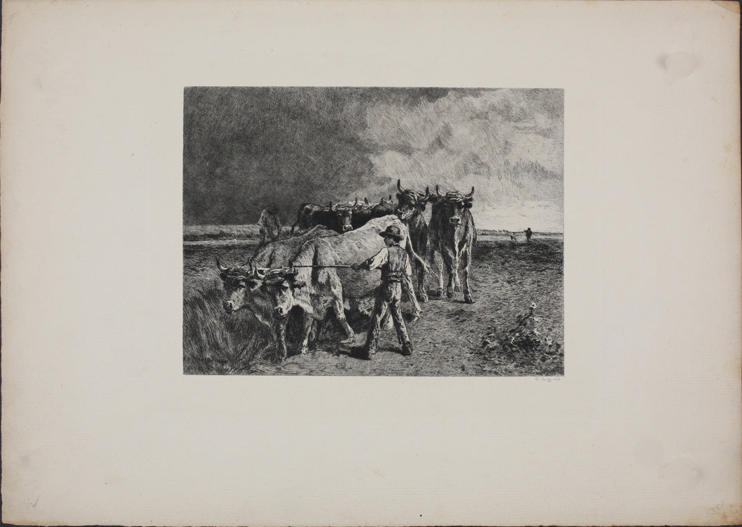 Constant Troyon, after. Oxen Ploughing. Engraving by Charles Courtry. 1860.