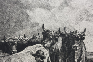 Constant Troyon, after. Oxen Ploughing. Engraving by Charles Courtry. 1860.