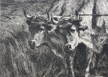 Load image into Gallery viewer, Constant Troyon, after. Oxen Ploughing. Engraving by Charles Courtry. 1860.

