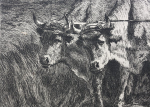 Constant Troyon, after. Oxen Ploughing. Engraving by Charles Courtry. 1860.