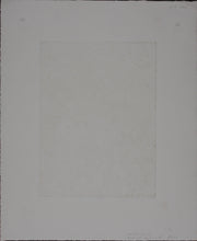 Load image into Gallery viewer, Walter Crump. Promised Equinox II. Aquatint. 1985.
