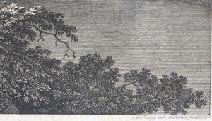 Adrian Zingg. Tharand. Etching. 1805.