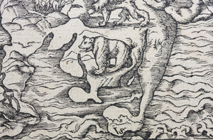 Hans Lufft, after. Daniel's Dream Map. Woodcut by Jost Amman and Virgil Solis. Late XVI C.
