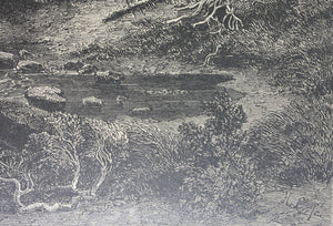 Heinrich Lauterbach, after. A Waterfall in the linthal. Woodcut. 1872.