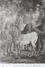 Load image into Gallery viewer, Herman van Swanevelt. Mercury silencing Battus. Etching. 1629-1641.
